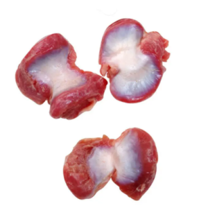 Premium Chicken Gizzards in Bulk