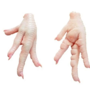 Wholesale Chicken Paws - Bulk Order Now