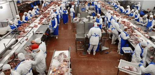 Frozen Chicken Factory